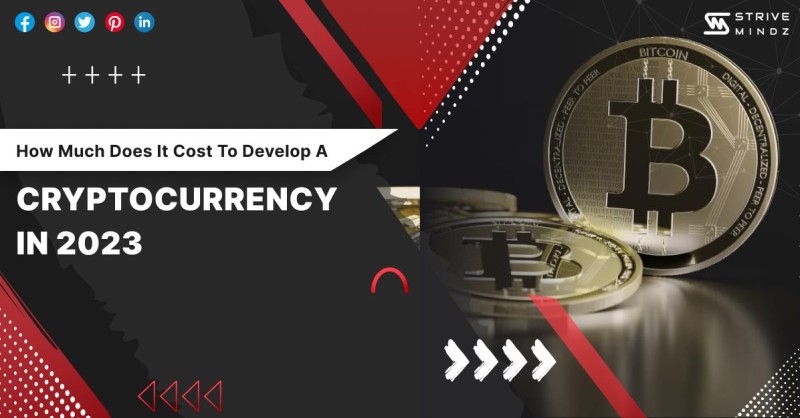 How Much Does Cryptocurrency Cost To Build: The Brutal Price Tags From Wallets To Exchanges You're probably wondering how much does cryptocurrency cost to build. Good. Wondering is free; building is not. Here's the unvarnished tour of wallets, apps, and exchanges so you know what you're getting into before you mortgage the cat.
