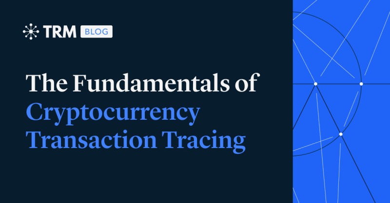 Transaction flow visualization across blocks