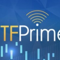 Vanguard's View on Crypto Currency for Simple Investors