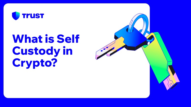 What Is A Self Custodial Wallet And Why You Control Your Own Keys (No Help Desk Required) Ever wonder what is a self custodial wallet? It's the kind that puts your private keys in your own hands, not some outfit holding them for you like a bank that can freeze your account on a whim.