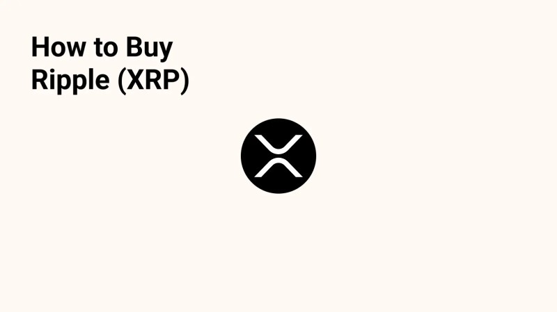 Where To Buy Ripple Cryptocurrency: How To Get XRP Without Losing Your Mind You're wondering where to buy Ripple cryptocurrency? Join the club. I, too, have stared at the screen like a confused raccoon. Here's the simple version: grab a broker or exchange, set up a wallet, and make your first trade without the fuss that usually accompanies financial decisions.